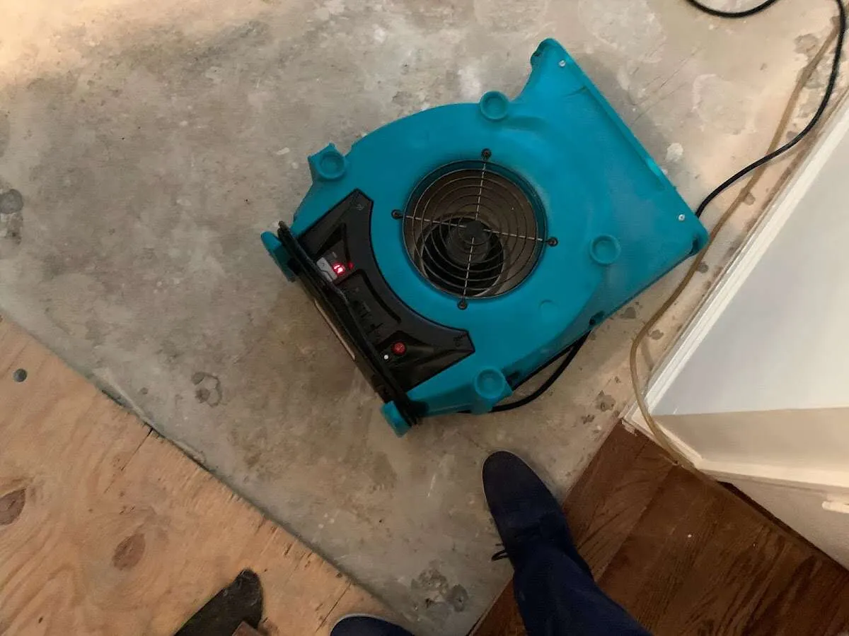 Air mover drying subfloor during Leak Detection & Repair in Fredericksburg